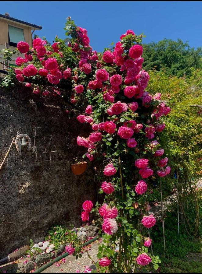 Ca' De Natta Villa Sestri Levante Bagian luar foto
