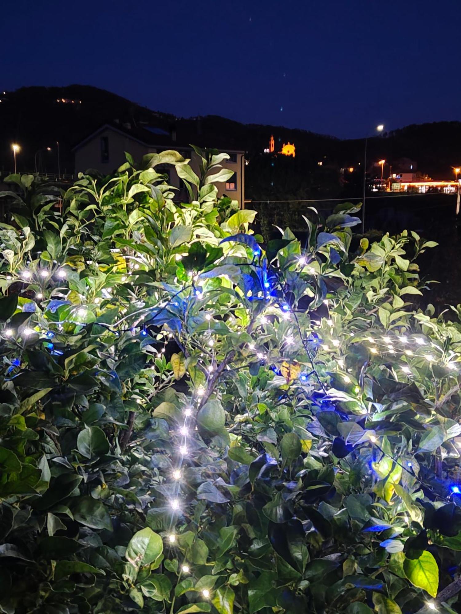Ca' De Natta Villa Sestri Levante Bagian luar foto